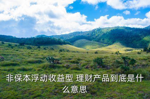 非保本理財(cái)什么意思，理財(cái)產(chǎn)品非保本是什么意思