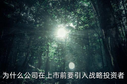 上市為什么要引入風(fēng)投，為什么公司在上市前要引入戰(zhàn)略投資者