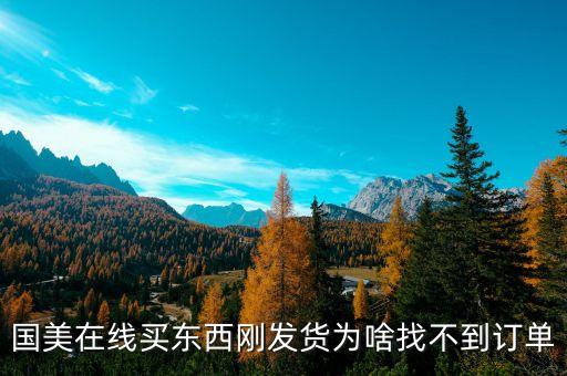 國(guó)美待發(fā)貨為什么查不到訂單，國(guó)美 已付款為何沒有顯示定單
