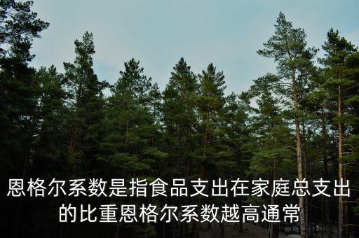什么是恩格爾系數(shù)法，什么是恩戈?duì)栂禂?shù)