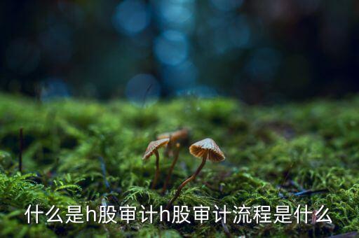 H股審計(jì)是什么意思，香港上市公司的審計(jì)與內(nèi)地審計(jì)有什么區(qū)別