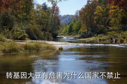 為什么說轉基因大豆會致癌，轉基因大豆有危害為什么國家不禁止