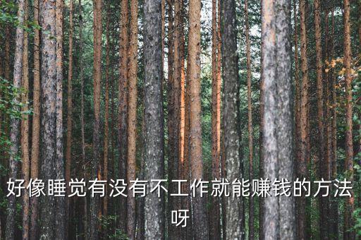 什么事可以睡著賺錢，上晚班晚上八點(diǎn)上到早晨六點(diǎn)期間可以睡覺我想白天在干點(diǎn)賺錢