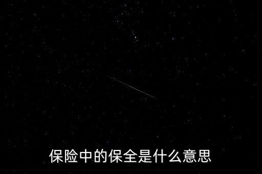 保險(xiǎn)保全是什么，保險(xiǎn)中的保全是什么意思