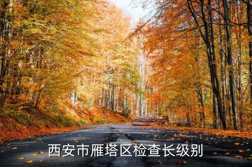 西安市正局級是什么級別，碑林分局局長級別是什么級別