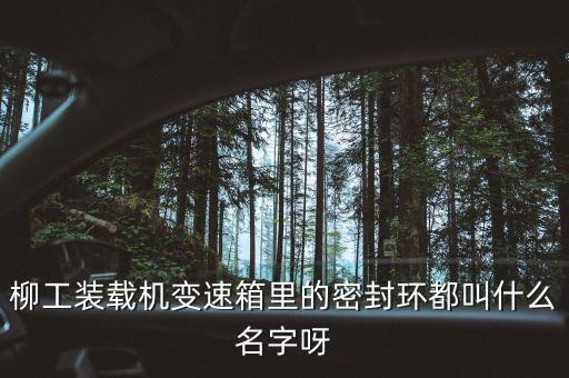 柳工836使用的什么鋼圈，柳工836配用的是什么發(fā)動(dòng)機(jī)