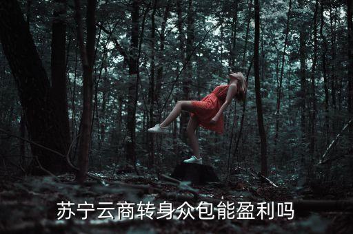 蘇寧眾包什么時(shí)候上線，蘇寧云商轉(zhuǎn)身眾包能盈利嗎