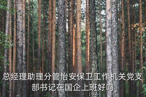 國企書記干什么的，總經(jīng)理助理分管治安保衛(wèi)工作機關(guān)黨支部書記在國企上班好嗎