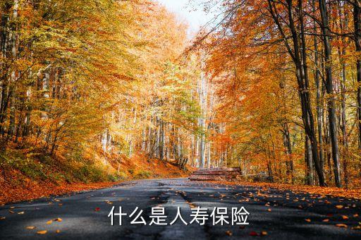 什么叫新型人壽保險，什么是人壽保險