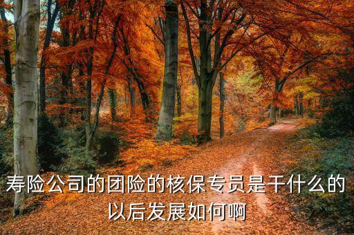 團險專員都做什么，團險專員做什么