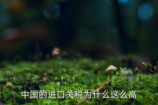 中國為什么高關(guān)稅，中國的進(jìn)口車輛關(guān)稅為什么這么高