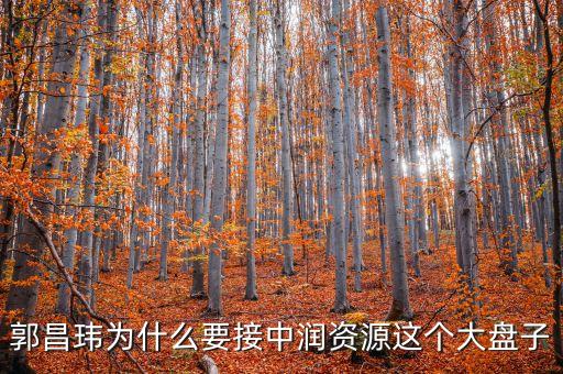 中潤資源為什么停牌，000506中潤資源停牌多久可以復(fù)牌