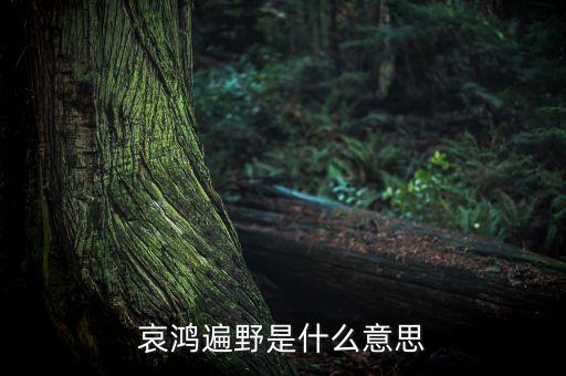 哀嚎遍野是什么意思，哀鴻遍野是什么意思
