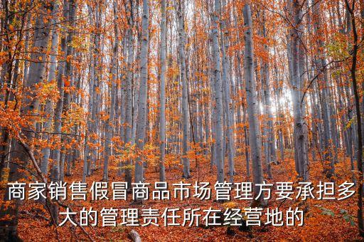 商家銷售假冒商品市場管理方要承擔多大的管理責任所在經(jīng)營地的