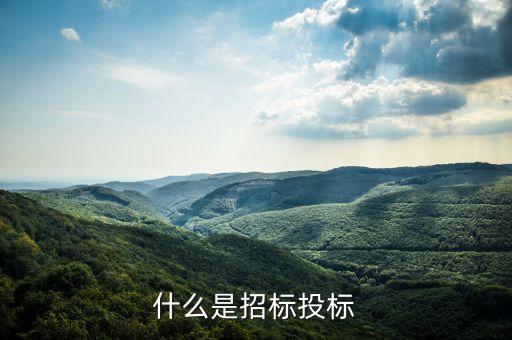 什么叫招標(biāo)率，什么是投標(biāo)利率