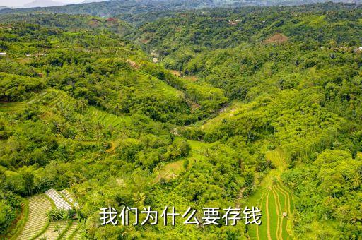 存錢有什么理由，我們?yōu)槭裁匆驽X