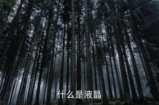液晶單體是什么，現(xiàn)在液晶電腦的液晶體是什么東西呢