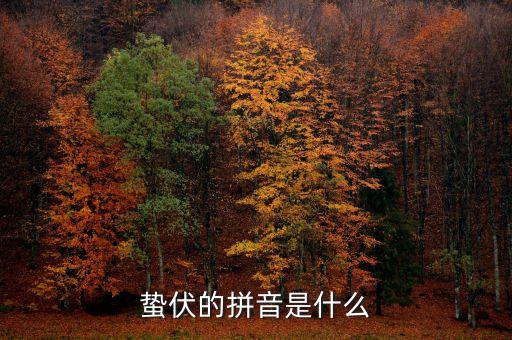 人的蟄伏期是什么，寂寂人定初中的人定是什么時候用天干地支中的回答相當(dāng)