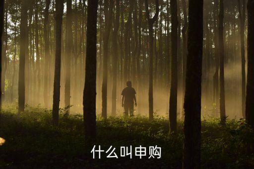 打新申購什么意思，什么叫申購