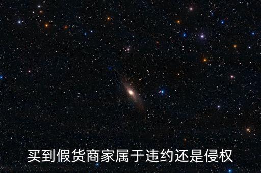 假進口商家承擔什么責任，商家銷售假冒商品市場管理方要承擔多大的管理責任所在經營地的