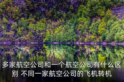 多家航空公司什么意思，同一架飛機有2家公司運營嗎我和我哥買的同一家飛機為什么是不