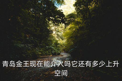 2015青島金王什么概念，青島金王現在能介入嗎它還有多少上升空間