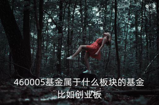 富國(guó)天益價(jià)值重倉(cāng)什么板塊，460005基金屬于什么板塊的基金比如創(chuàng)業(yè)板