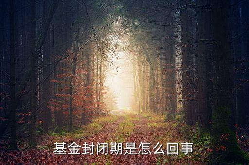 封閉式基金為什么要封閉，為什么認購基金要封閉期封閉期是3個月內不得提現