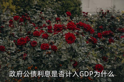 政府公債利息是什么，什么叫政府公債利息