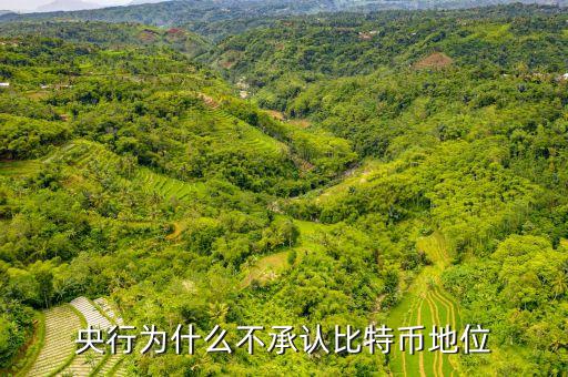 為什么中央不承認(rèn)比特，中美為什么不承認(rèn)比特幣的合法性