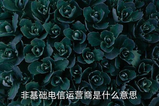 什么是基礎(chǔ)電信運營商，請問基礎(chǔ)電信企業(yè)是不是就是指幾大電信運營商啊不勝感激