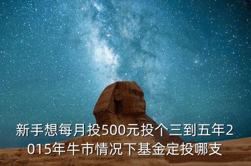 2015年新手買什么基金好，2015買什么基金比較好