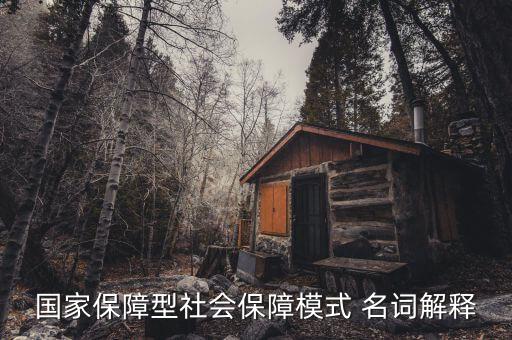 保障型保險(xiǎn)什么意思，國家保障型社會(huì)保障模式 名詞解釋