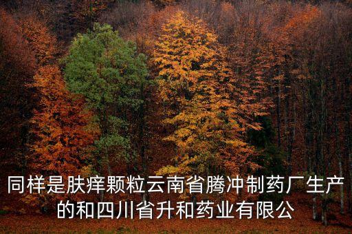 騰沖制藥廠是什么企業(yè)，云南騰沖制藥廠制造的人參再造丸