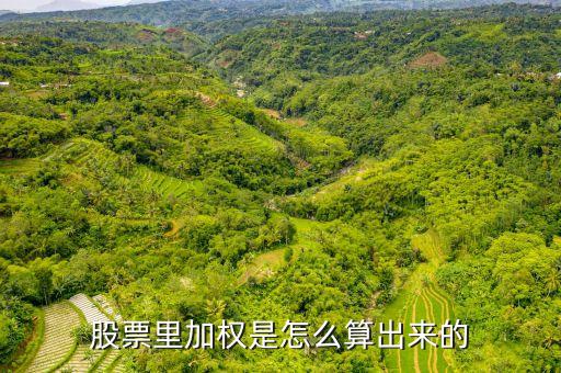 股票權(quán)數(shù)大概在什么范圍，什么影響股票權(quán)數(shù)