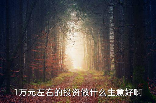 萬投資什么好，有10000元錢拿來做什么最好或者投資什么最好