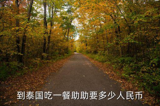 助幣是什么意思，到泰國(guó)吃一餐助助要多少人民幣
