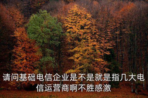 請問基礎(chǔ)電信企業(yè)是不是就是指幾大電信運(yùn)營商啊不勝感激
