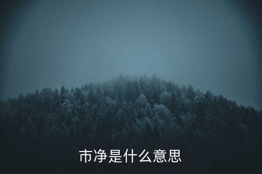 什么叫市凈率，什么是市凈率和市盈率