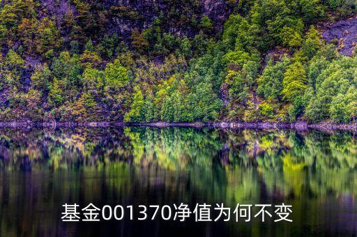 基金為什么無(wú)變化，基金三天了凈值沒變化是什么原因