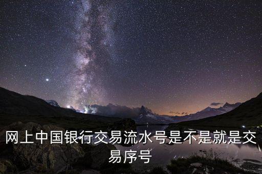 中國銀行企業(yè)網(wǎng)銀轉(zhuǎn)賬批次號(hào)什么意思，企業(yè)網(wǎng)銀客戶號(hào)是什么意思