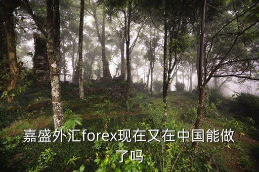 嘉盛外匯為什么2008年退出中國，請問嘉盛怎樣了解的給說下謝了
