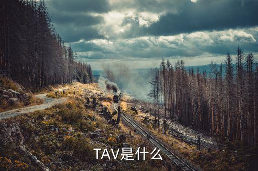什么是孕線，TAV是什么
