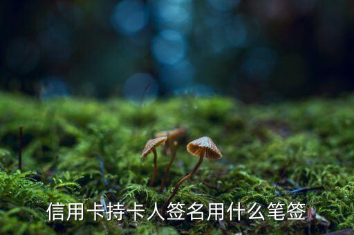 信用卡用什么筆簽名，信用卡持卡人簽名用什么筆簽