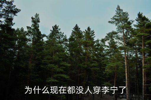 李寧為什么不行了，李寧公司為何一夜垮臺(tái)