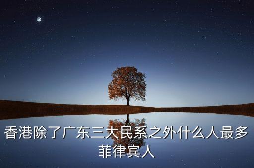 香港什么國籍的人多，香港除了廣東三大民系之外什么人最多菲律賓人