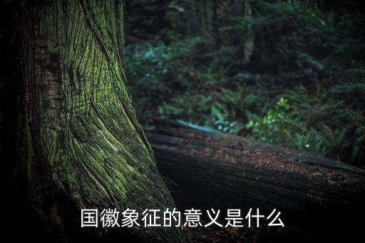 國琪意義是什么，國徽象征的意義是什么
