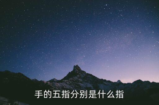 五指最后小指是什么指，五指 怎么分別