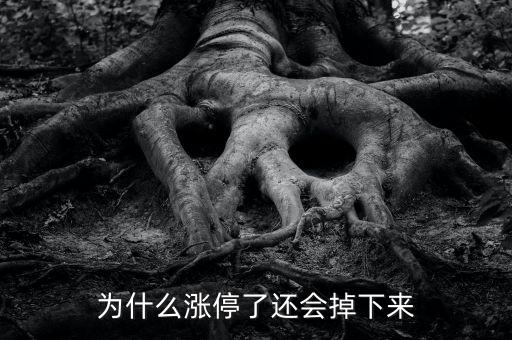 為什么股票漲停會(huì)往下掉，股票漲停怎么還會(huì)跌下來(lái)