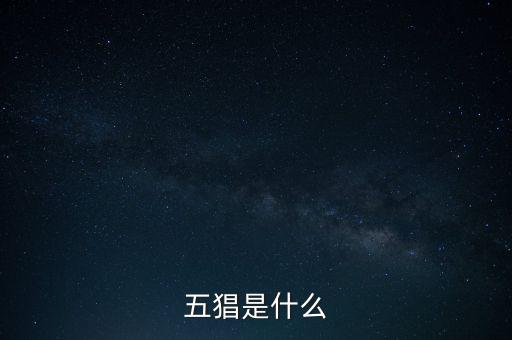 什么是創(chuàng)智5，YY上面的五項(xiàng)創(chuàng)始人是誰